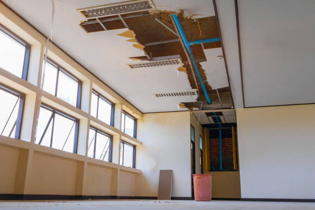 Best Mold removal after water damage  in Mineral Point, WI