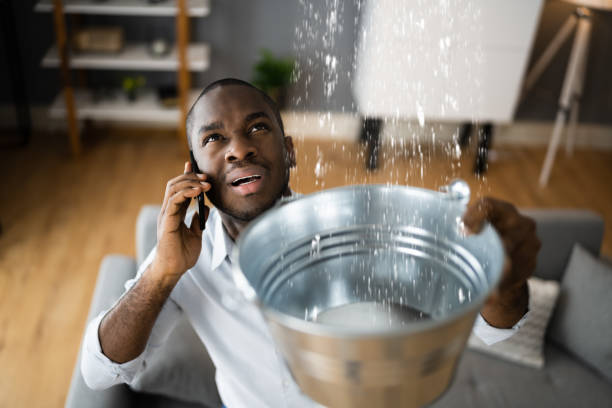 Best Basement water damage restoration  in Mineral Point, WI