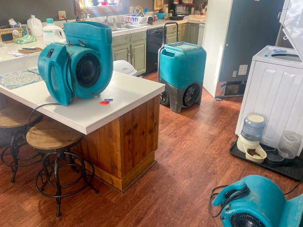 Best Fire Damage Restoration  in Mineral Point, WI