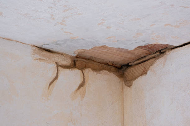 Best Water damage restoration near me  in Mineral Point, WI