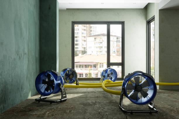  Mineral Point, WI Water damage restoration Pros
